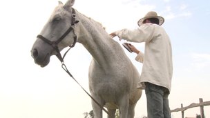 Countryside gal manages to perform a cowgirl ride with her dark hole